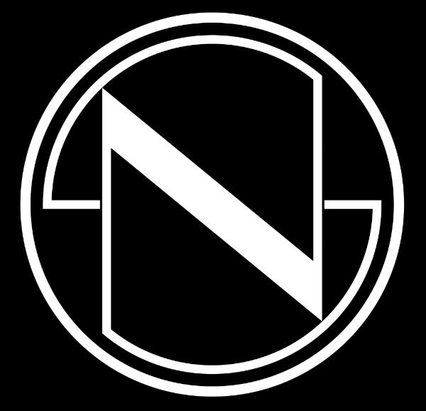 Nest Seekers International Puerto Rico Logo