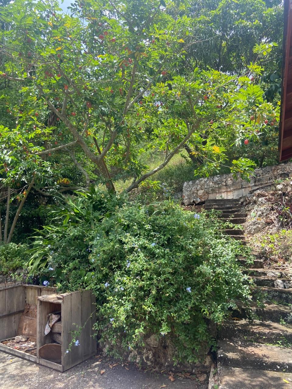 52 Amethyst Drive Xposure