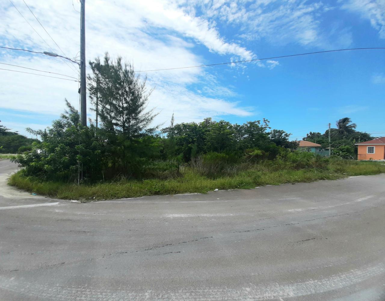 Janelle Drive Xposure