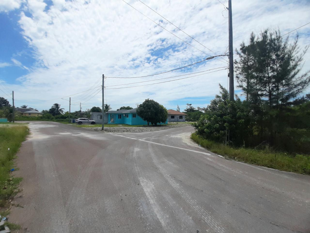 Janelle Drive Xposure