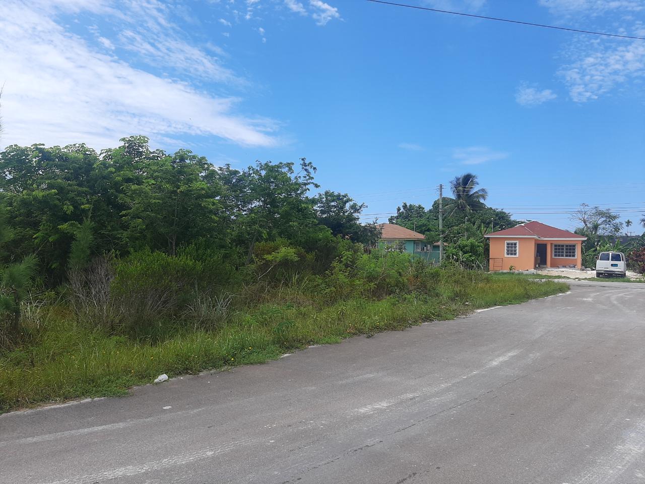 Janelle Drive Xposure