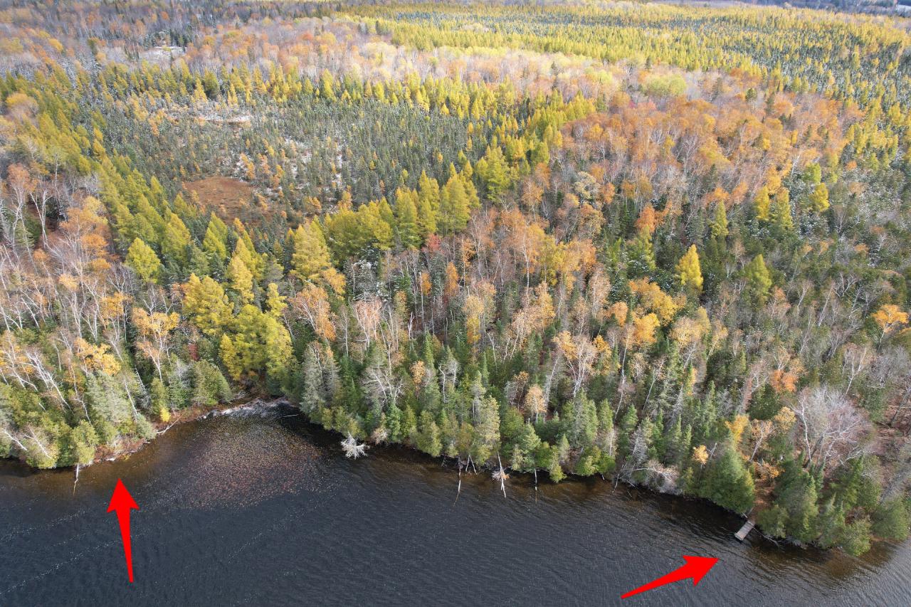 8754 Murphy Lake Rd Xposure