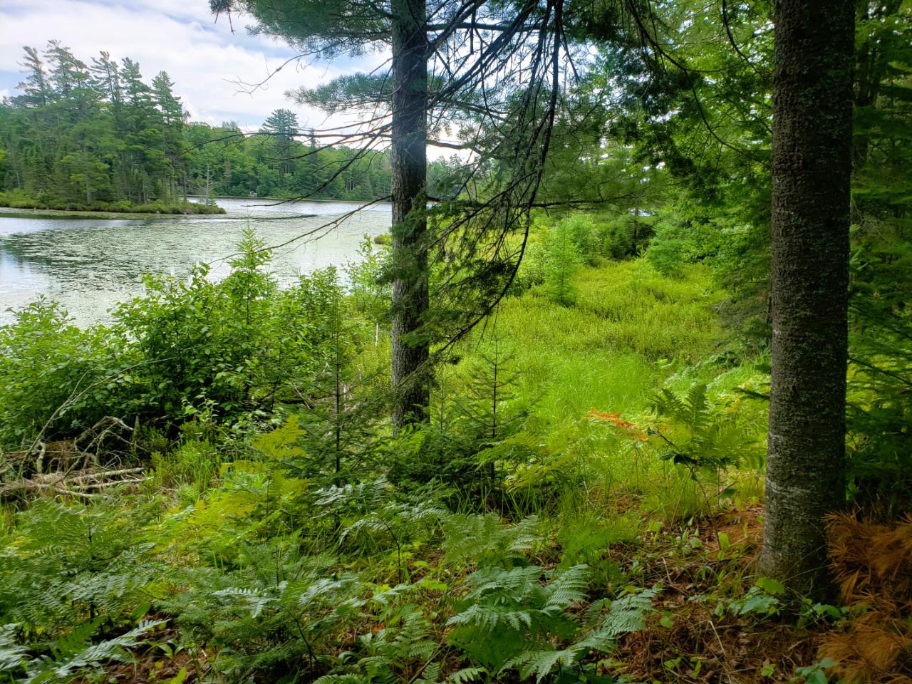 Lot 5 Blue Heron Ridge Rd Xposure