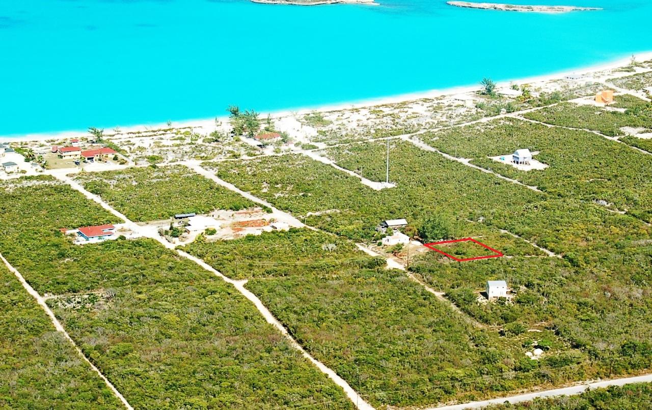 Ocean View Drive Xposure