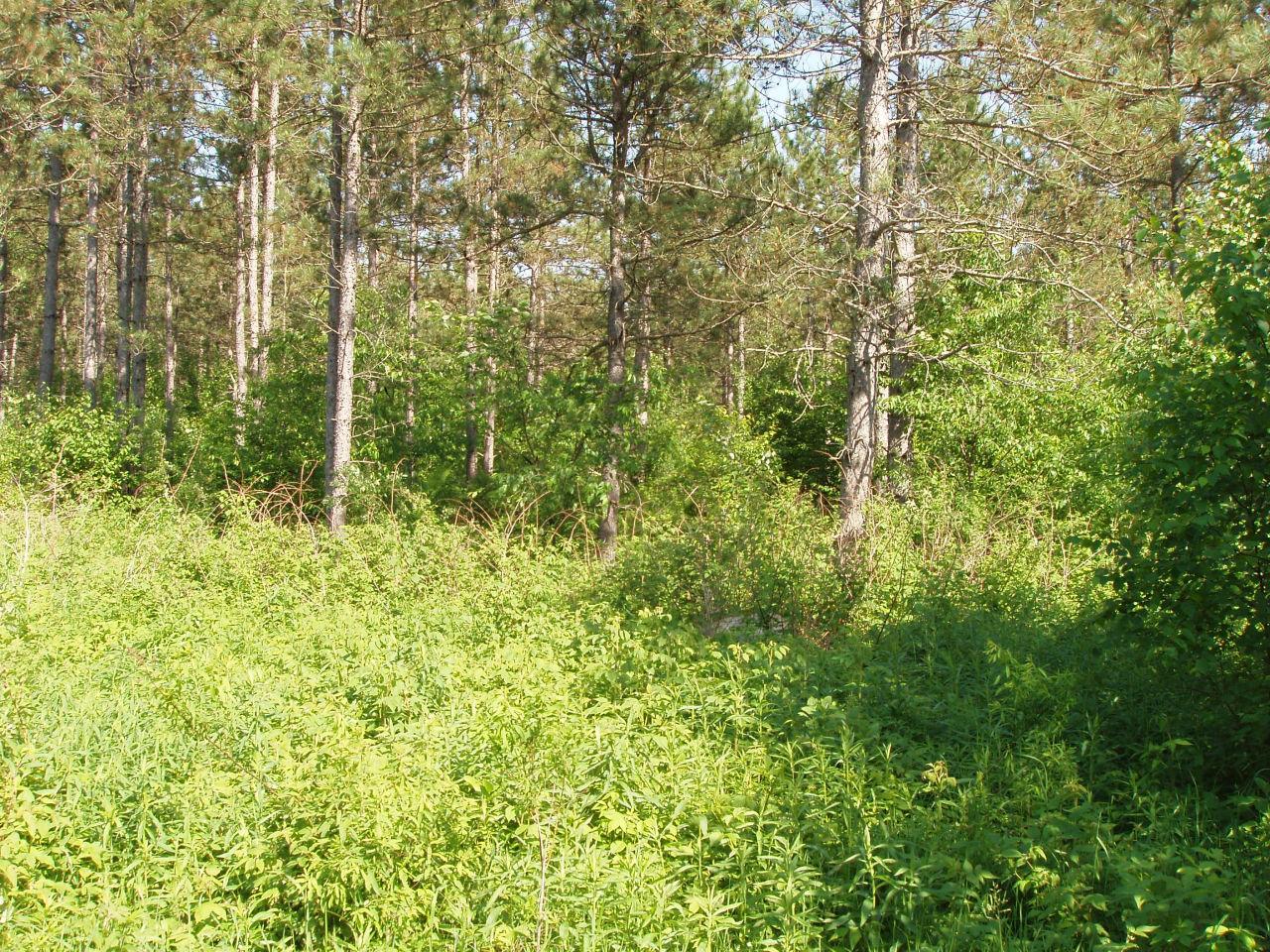 11.7 Aoff Sugar Bush Rd Xposure