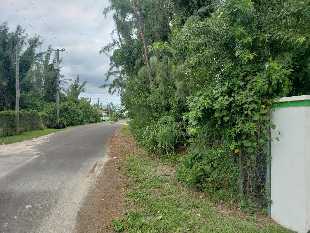 Marshall Road Xposure