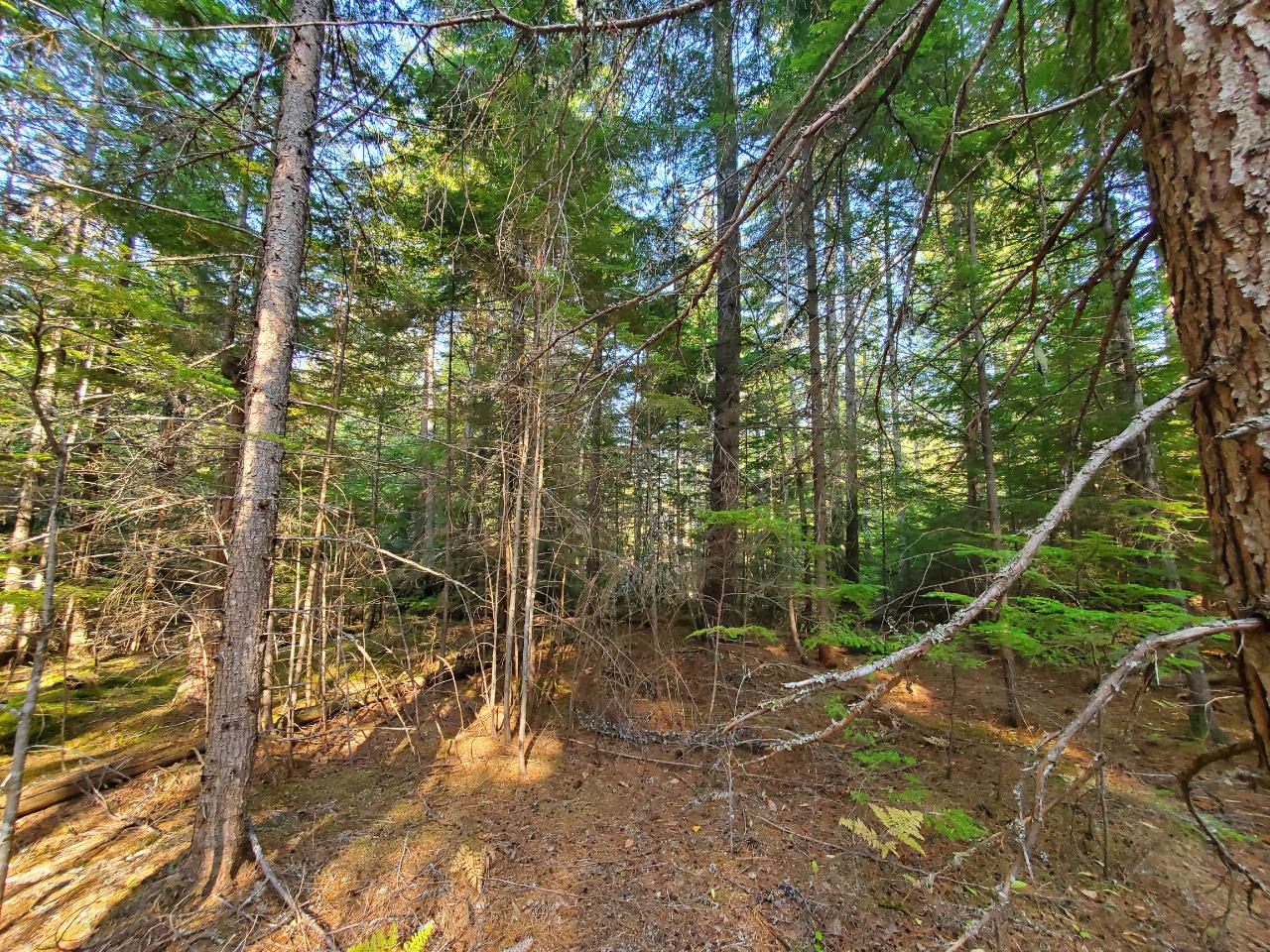 Lot 8 Walkley Road Coldwell Banker Rosling Real Estate