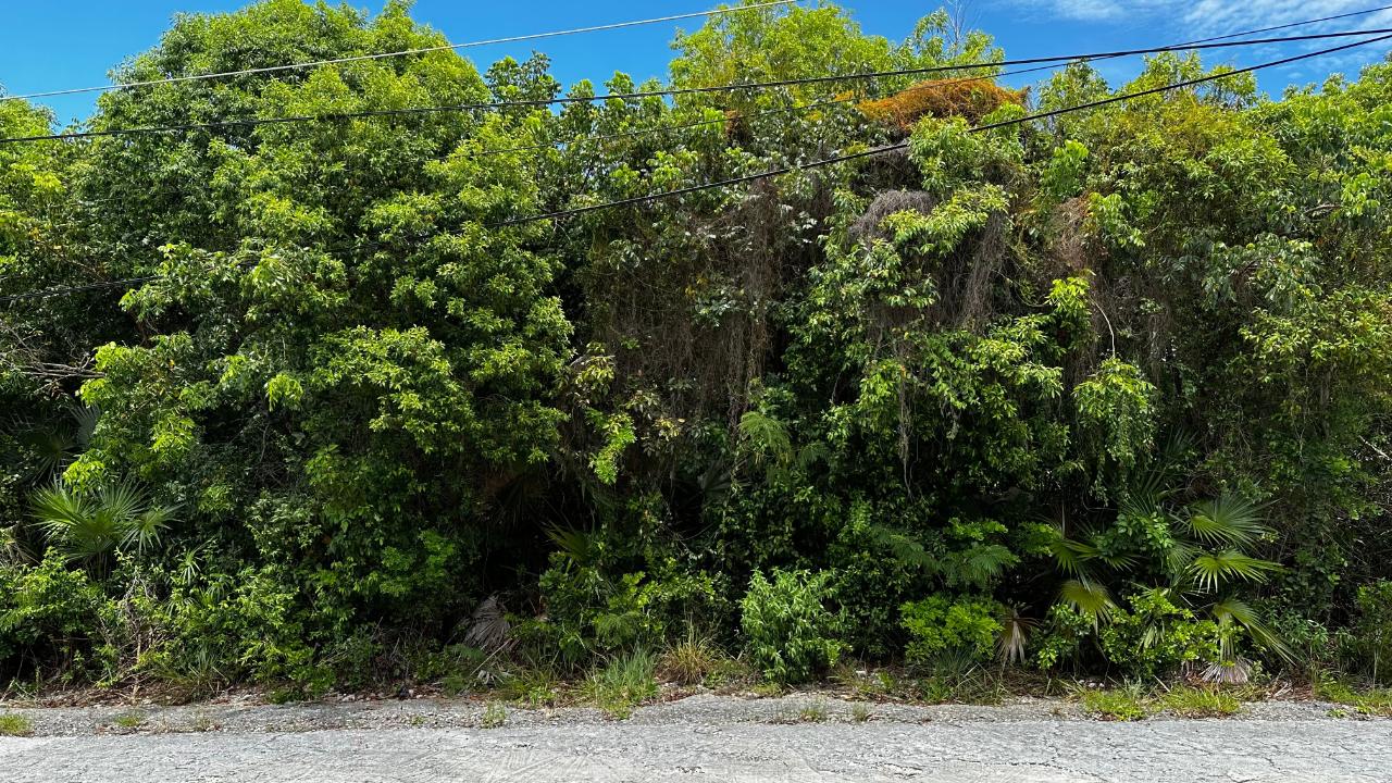 Overhill Drive Xposure