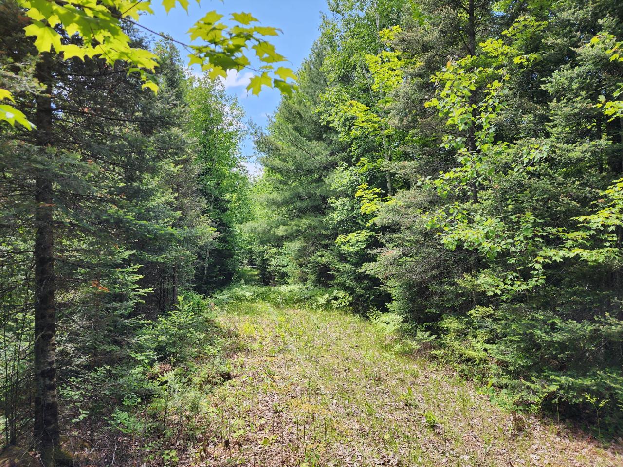 1682 County Line Lake Rd Century 21 Burkett & Associates