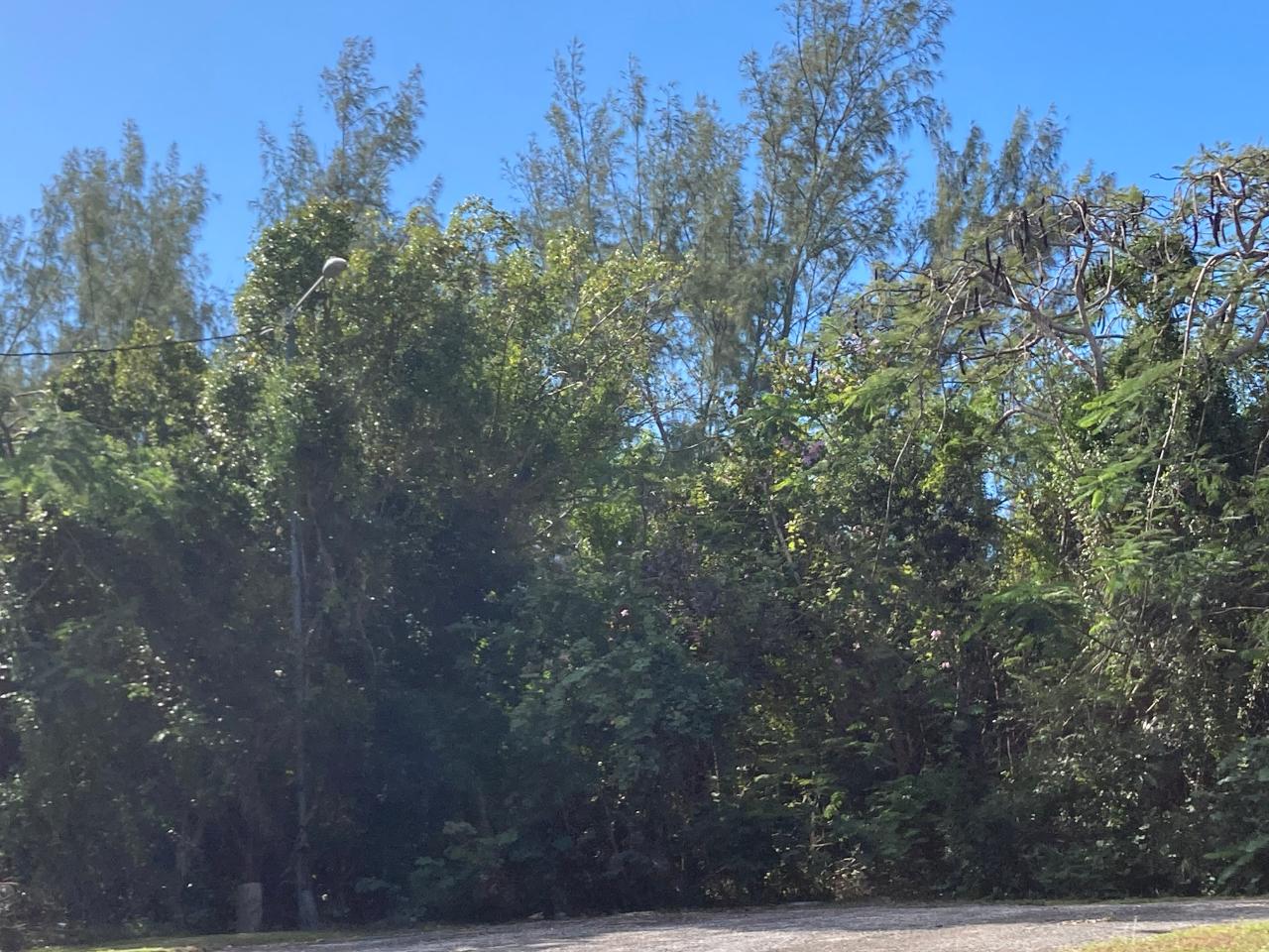 25 Kemp Road Xposure