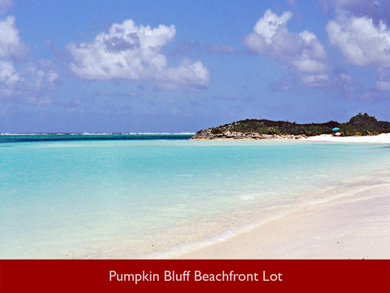 North Caicos Beachfront Land Xposure