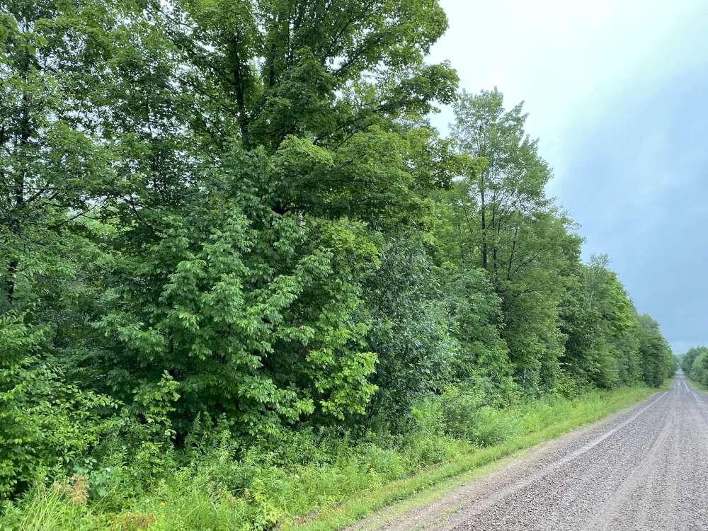 On Joe Snow Rd Xposure