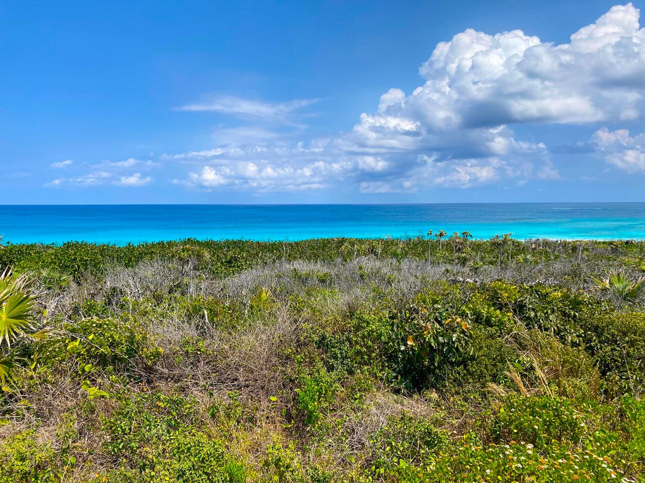 Dolphin Beach Estates Lot Xposure