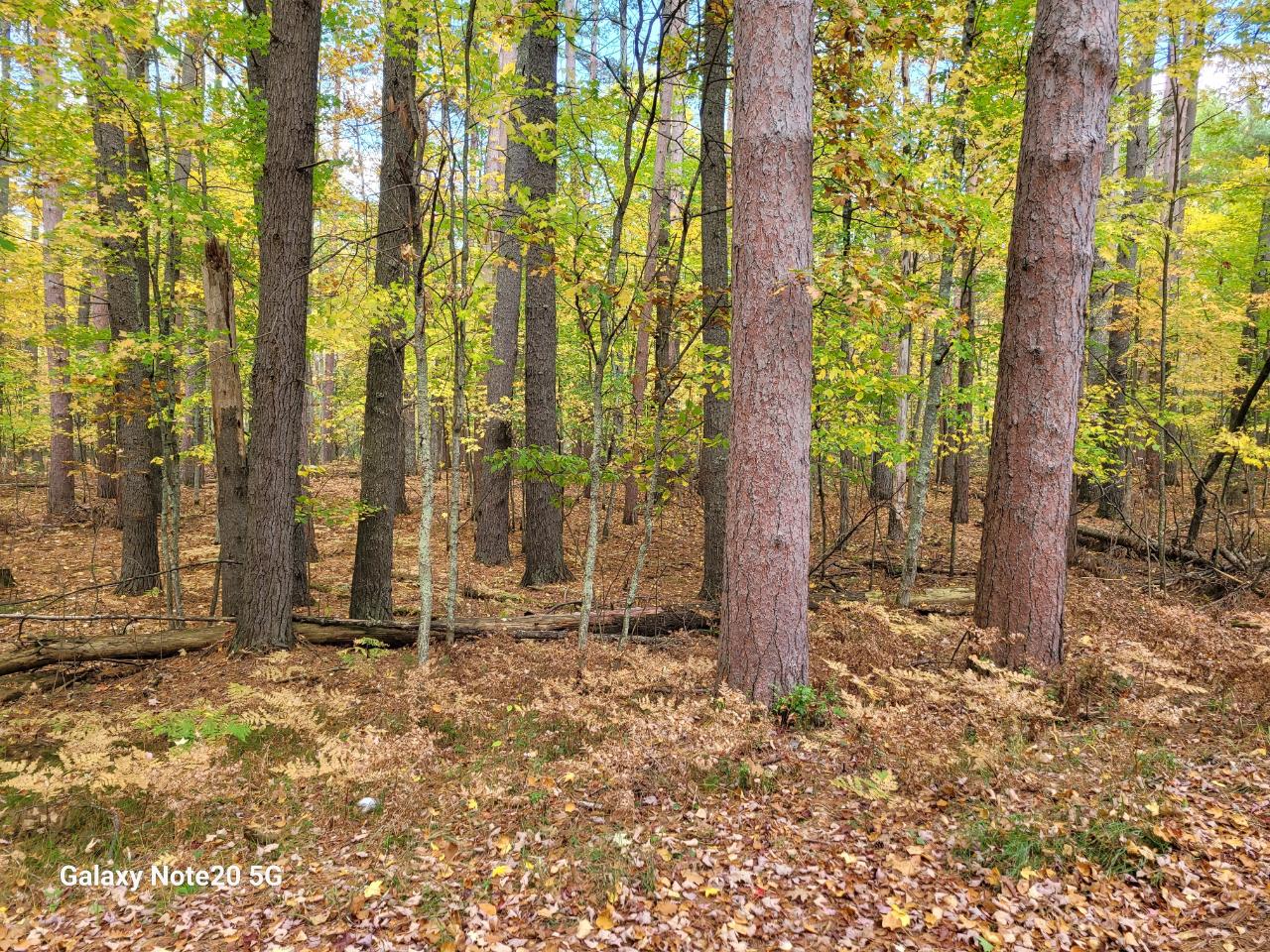 Lot 89 Eagle Pines Rd Coldwell Banker Mulleady REALTORS