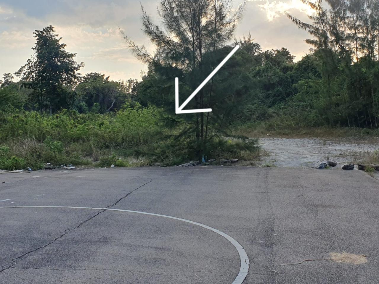 4 Blake Road Xposure