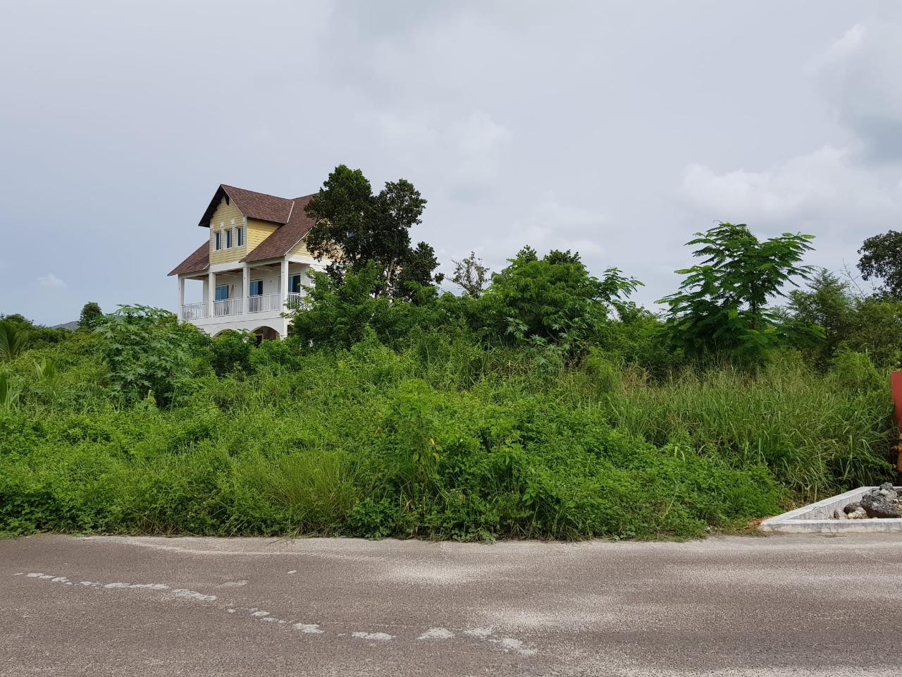 Oakridge Road Xposure